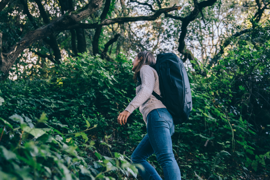 Peak Design Travel 65L Duffelpack V2 - Black