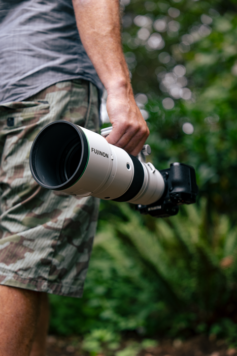 Fujifilm XF 400mm f/4.5 R LM OIS WR Lens