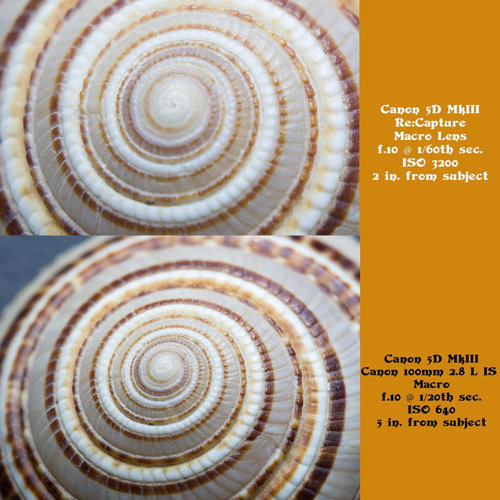 Re:Capture Macro Lens for Canon EF-Mount Cameras
