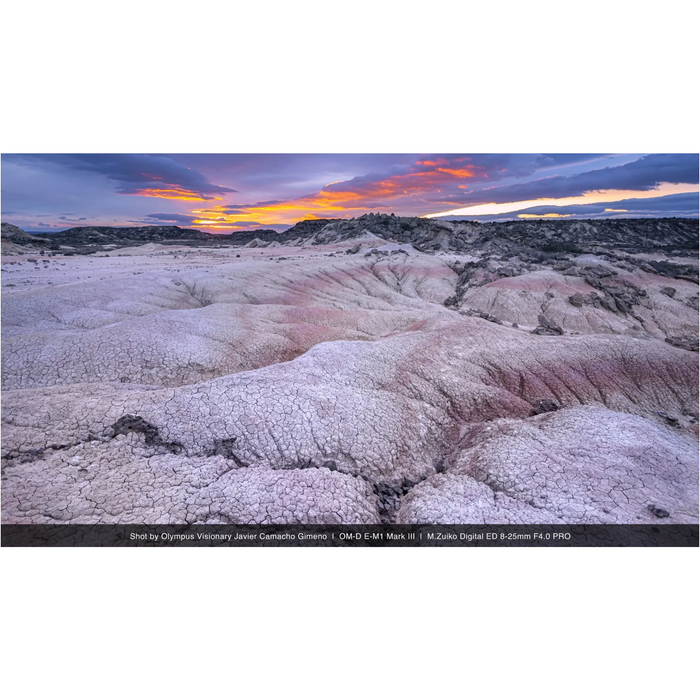 OM System M.Zuiko Digital ED 8-25mm f/4 PRO Lens