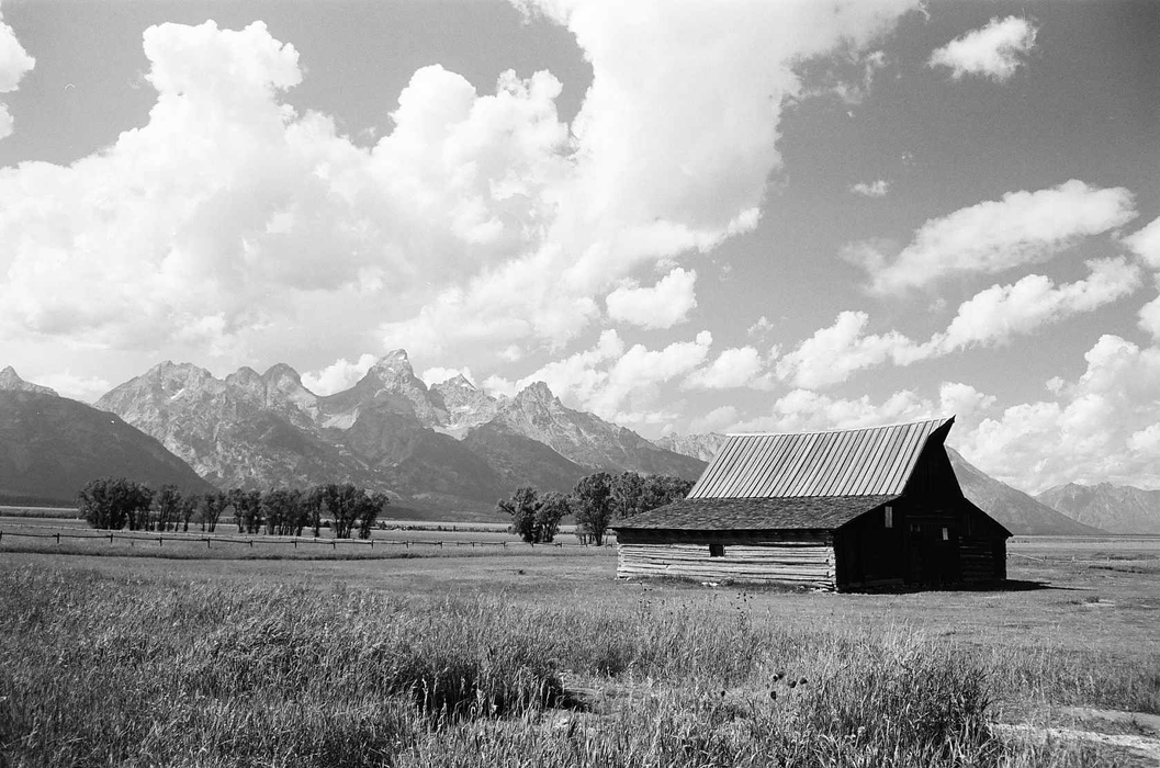 Kodak Eastman Professional EKTAPAN 100 Black & White Negative - 120 Film, 5 Pack