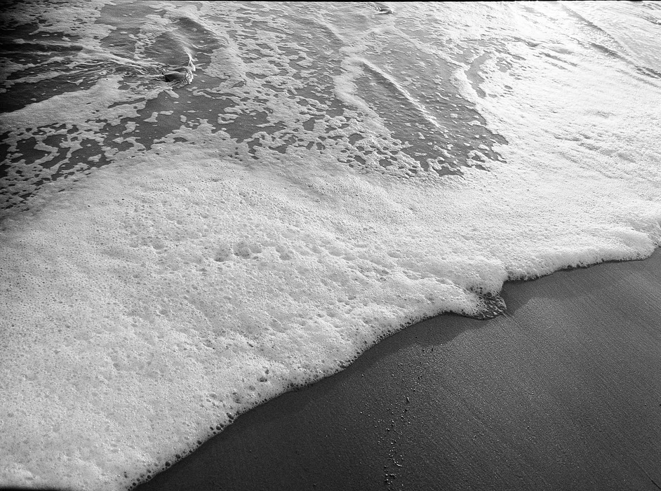 Kodak Professional Tri-X 400 Black & White Negative - 35mm Film, 36 Exposures, Single Roll