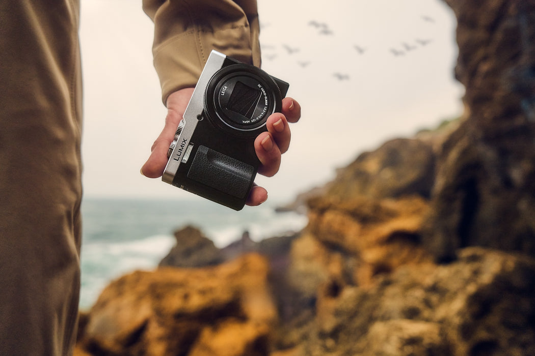 Panasonic Lumix ZS99 Digital Camera - Silver