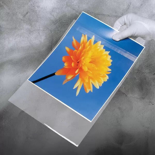 Lineco Self-Sealing Photo/Art Polypropylene Bag with Flap, 16 x 20" - 50 Pack