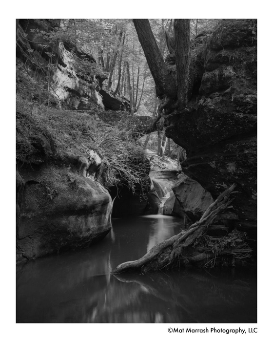 Ilford Pan F Plus 50 Black & White - 4x5 Sheet Film, 25 Sheets