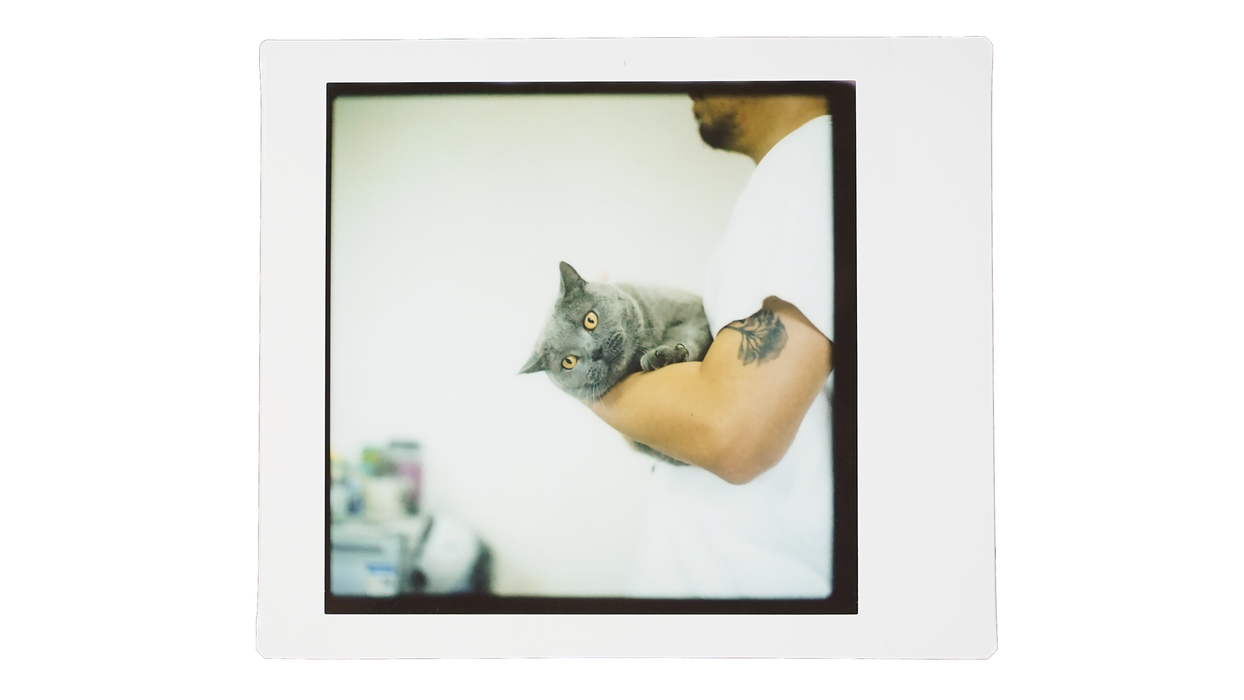 NONS Instant Back for Hasselblad NIB-H1