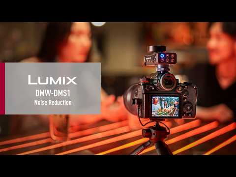 Panasonic DMW-DMS1 Digitale Shotgunmicrofoon – 10 Mm Array – 6 Richtingsmodi – 32-bit Float – Voor DC-S1M2/S1RM2 – Compact En Kabelvrij