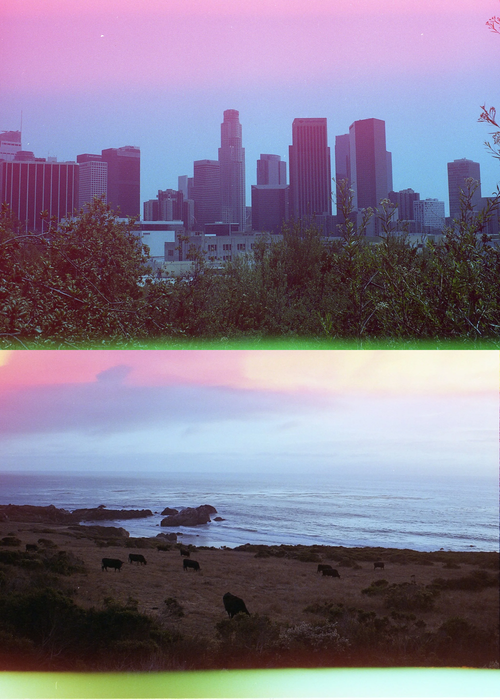 Psychedelic Blues #2 200 Color Negative - 35mm Film, 36 Exposures, Single Roll