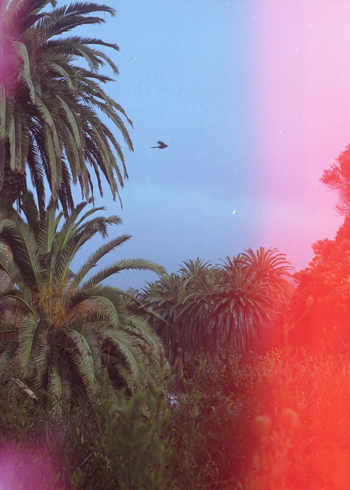 Psychedelic Blues #2 200 Color Negative - 35mm Film, 36 Exposures, Single Roll