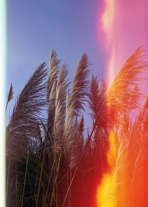 Psychedelic Blues #2 200 Color Negative - 35mm Film, 36 Exposures, Single Roll