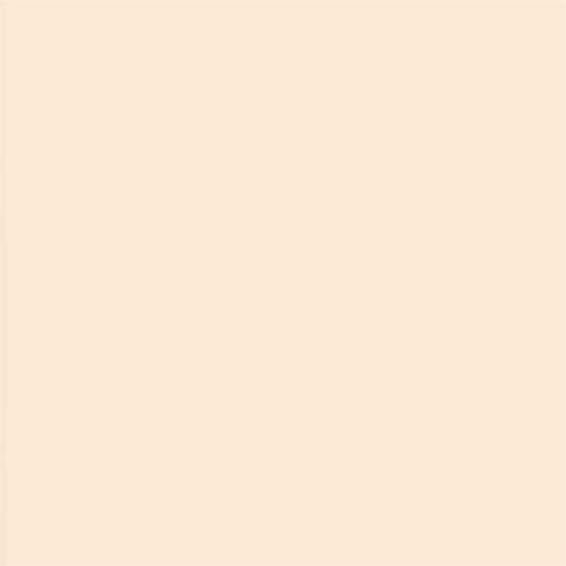 LEE Filters #206  1/4 CTO Orange Gel Filter (48" wide, length sold by the foot)