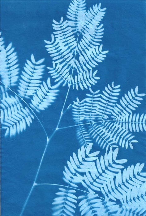 Sunprint Paper (7.87 x 11.81 in)  - 15 Sheets