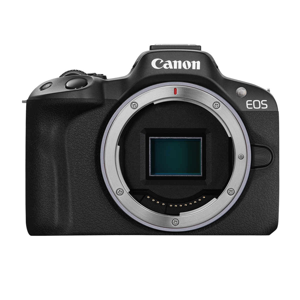 Canon EOS R50 Mirrorless Camera — Glazer's Camera