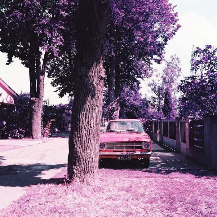 Lomography LomoChrome Purple XR 100-400 Color Negative - 120 Film, Single Roll