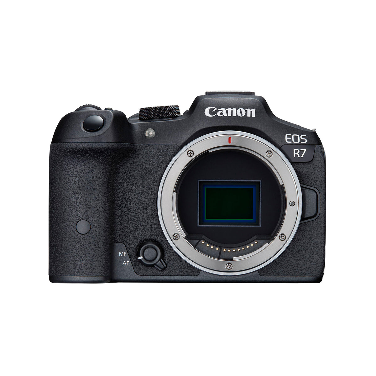 Over instelling experimenteel volume Canon EOS R7 Mirrorless Camera — Glazer's Camera Inc