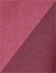 Savage Accent Muslin Background - 10'x12' - Cranberry