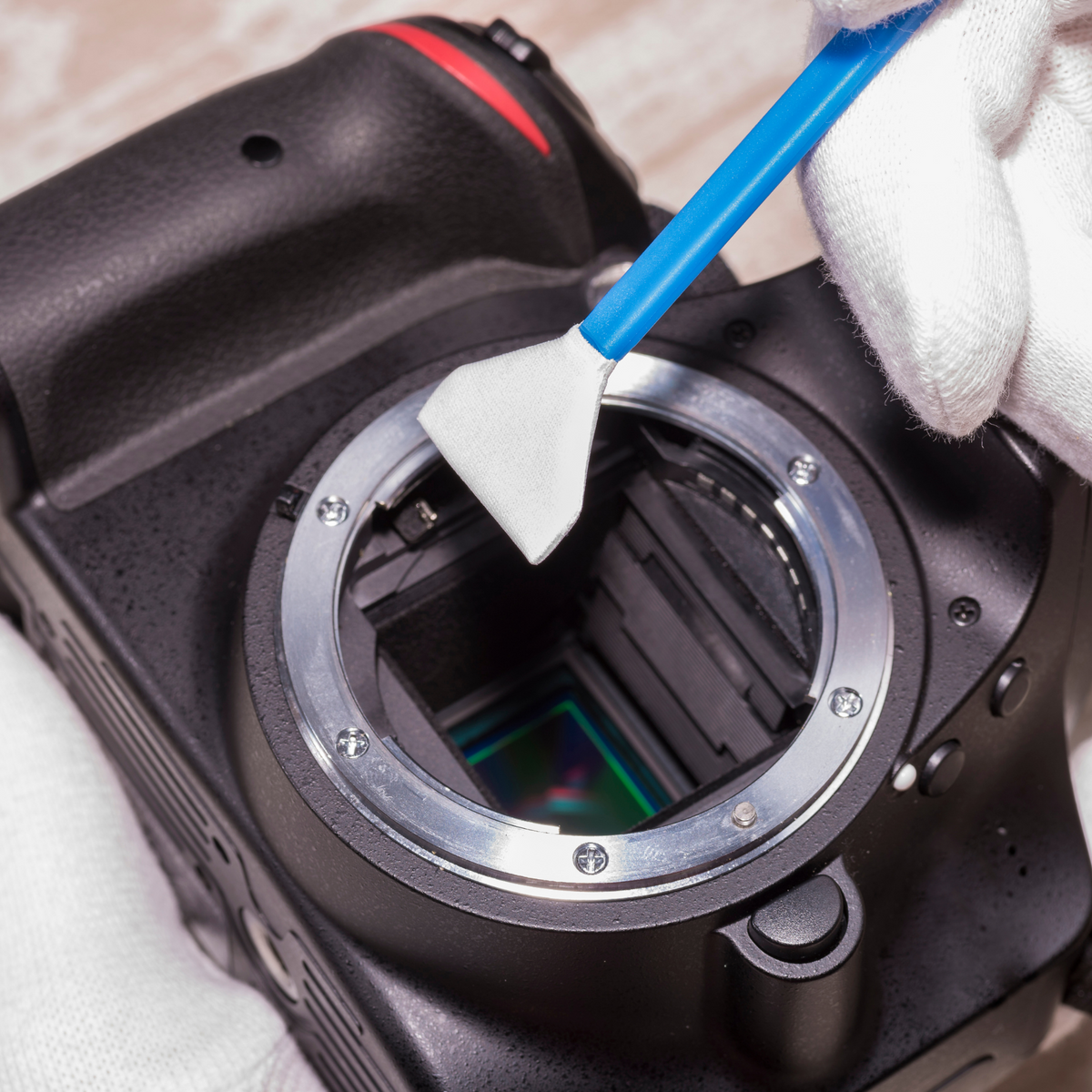 Dslr Camera Sensor Replacement Sensor Cleaning - DSLR cameras — Glazer's Camera