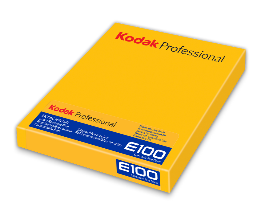 Kodak Professional Ektachrome E100 Color Transparency - 4 x 5" Film, 10 Sheets