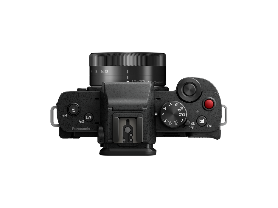 Panasonic Lumix G100 Mirrorless Camera with 12-32mm Lens — Glazer's Camera
